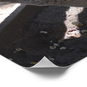 Poster mouton mangeant du popcorn (Coin)