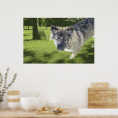 Poster Mouton moche (Cuisine)