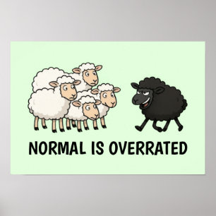 Poster Mouton noir et blanc