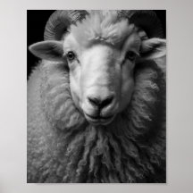 Mouton noir et blanc - Œuvre d'art murale