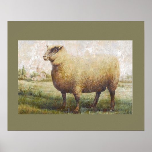 Poster Mouton primitif (Devant)