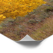 Poster Mouton sur Country Road (Coin)