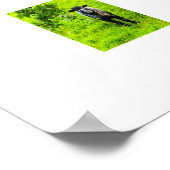 Poster Moutons (Coin)