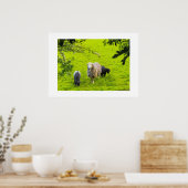 Poster Moutons (Cuisine)