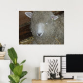 Poster Moutons à la foire du comté (Bureau à domicile)