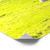 Poster Moutons au soleil matinal (Coin)