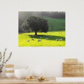 Poster Moutons au soleil matinal (Cuisine)