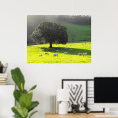 Poster Moutons au soleil matinal (Bureau à domicile)