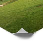 Poster Moutons avec moulins à vent sous des nuages sombre (Coin)