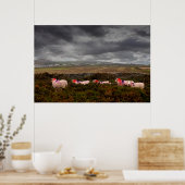 Poster Moutons colorés (Cuisine)