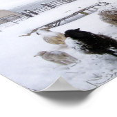 Poster Moutons dans la neige d'avril (Coin)