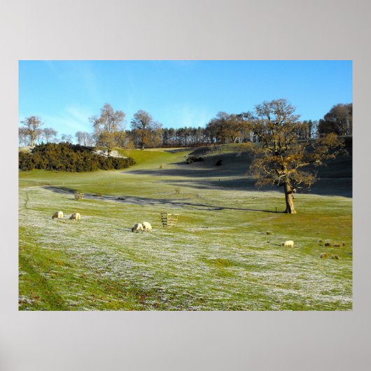 Poster Moutons dans la vallée gelée (Devant)