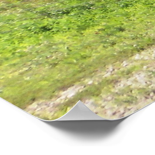 Poster Moutons dans le pâturage avec écriture Imprimer (Coin)