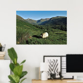 Poster Moutons dans les Highlands (Bureau à domicile)