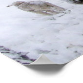 Poster Moutons En Avril Neige (Coin)