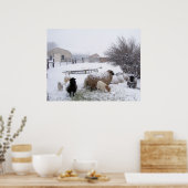Poster Moutons En Avril Neige (Cuisine)