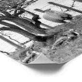 Poster Moutons et arbres photo noir et blanc (Coin)