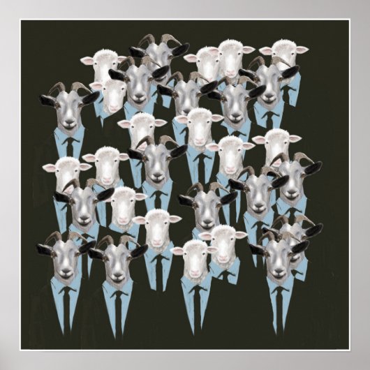 Poster Moutons et chèvres (Devant)