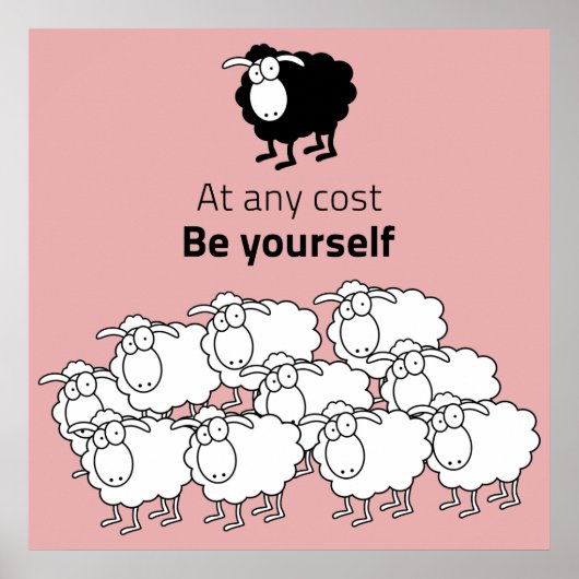 Poster Moutons noirs et blancs (Devant)