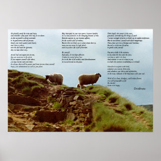 Poster Moutons tranquillement en silence sur la montagne