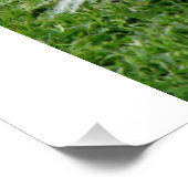 Poster Mouvement Papillon (Coin)