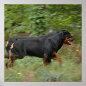 Poster Movin' dans la cour (Devant)