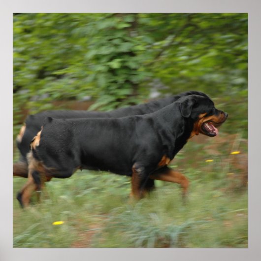 Poster Movin' dans la cour (Devant)