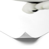 Poster Moxie Cat and the Butterflies Print (Coin)