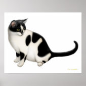 Poster Moxie l'impression Tuxedo Cat (Devant)