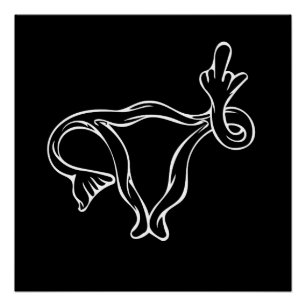 Poster Moyen-doigt Uterus Pro-choix