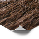 Poster Moyen-siècle (Coin)