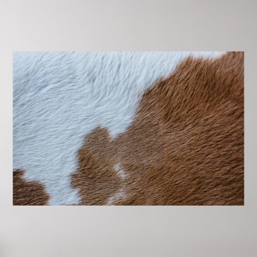 Poster Moyen-siècle (Devant)