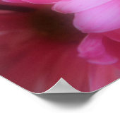 Poster moyens subtils (Coin)