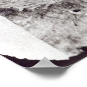 Poster Mozart, 1911 (Coin)