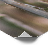 Poster Mr. Blackbird (Coin)