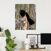 Poster Mr. Blackbird (Bureau à domicile)