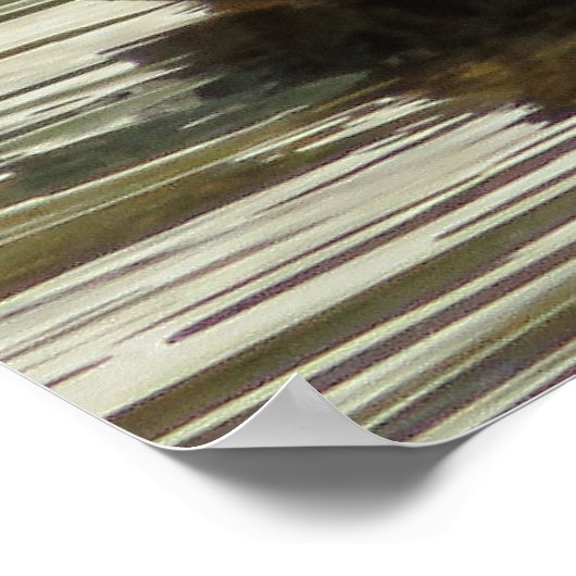 Poster Mr. Quack (Coin)