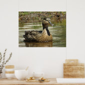 Poster Mr. Quack (Cuisine)