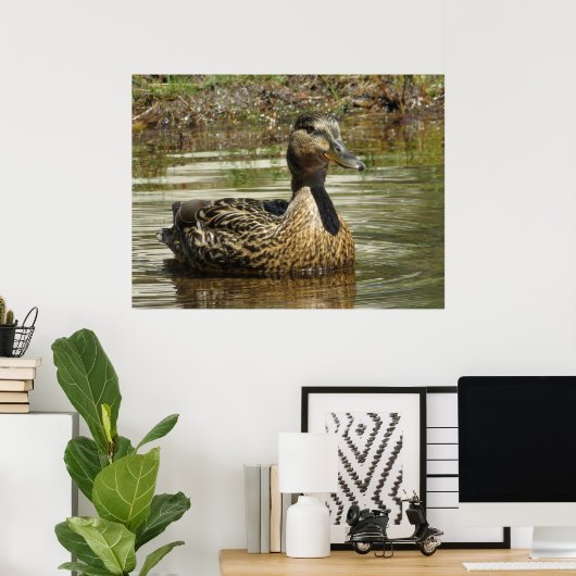 Poster Mr. Quack (Bureau à domicile)