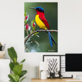 Poster Mrs. Gould's sunbird  (Bureau à domicile)