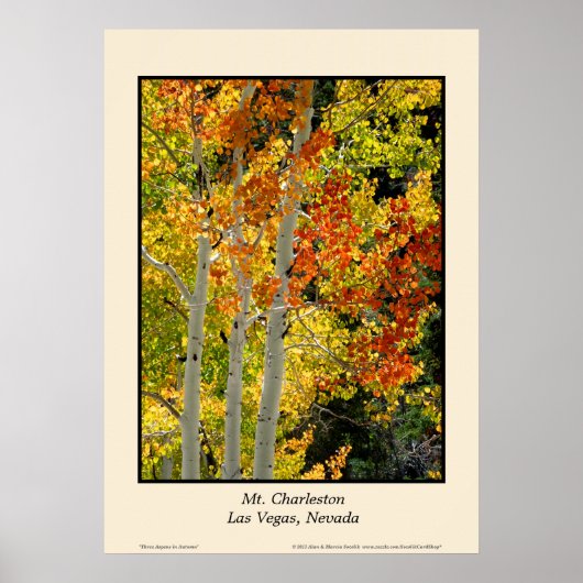 Poster Mt. Charleston NV Automne Couleur d'automne Aspen  (Devant)