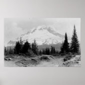 Poster Mt. Hood Vue du camp du gouvernement Photo (Devant)