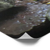 Poster Mt. Kurama Dragon (Coin)