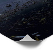 Poster Mt Lassen Du Lac Manzanita (Coin)