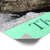 Poster Mt. Lemon (Coin)