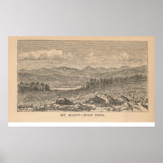 Poster Mt. Marcy - Wolf Pond (Devant)