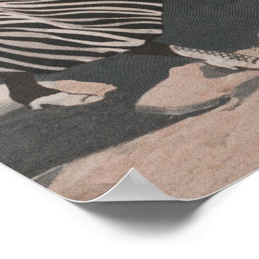 Poster Mt. McClellan & Loop Trip Travel (Coin)