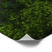 Poster Mt. McKinley (Coin)