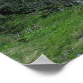 Poster Mt. Mitchell I (Coin)