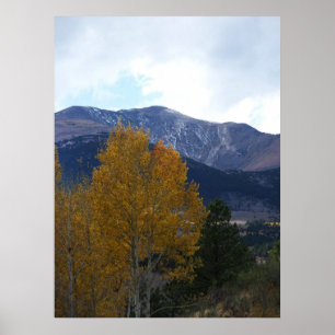 Poster Mt Ouray